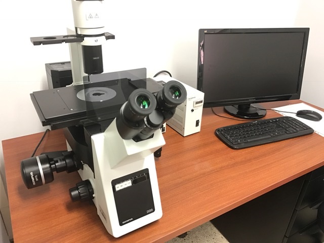 MICROSCOPIO