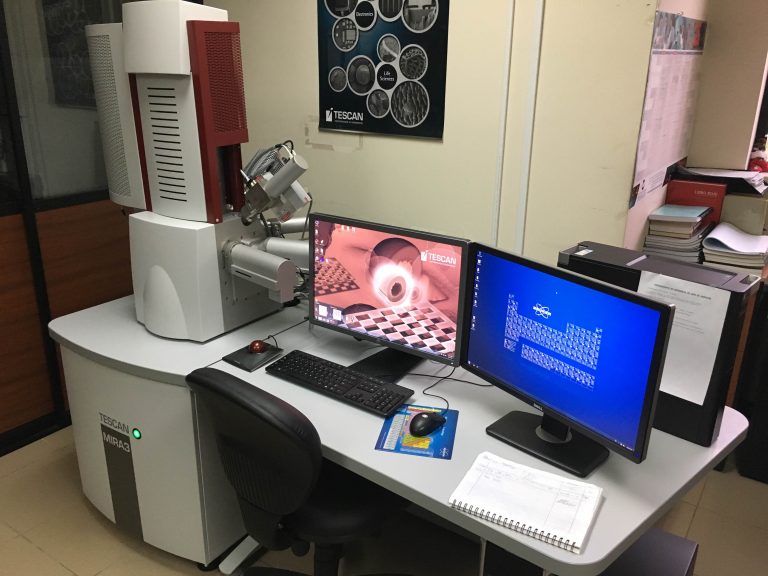 SEM